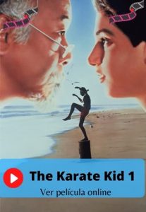 The Karate Kid 1 ver película online