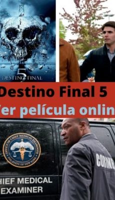 Destino Final 5 ver película online
