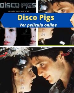 Disco Pigs ver película online